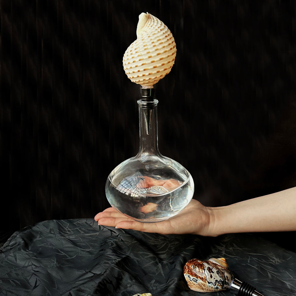 Natural Seashell Wine Bottle Stopper