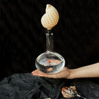 Natural Seashell Wine Bottle Stopper