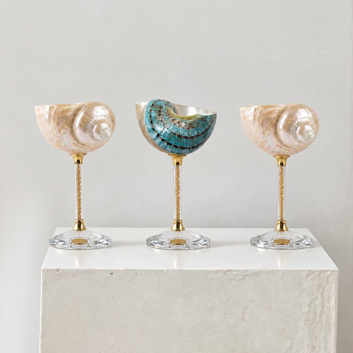 Magnificent Conch Shell Wine Glass