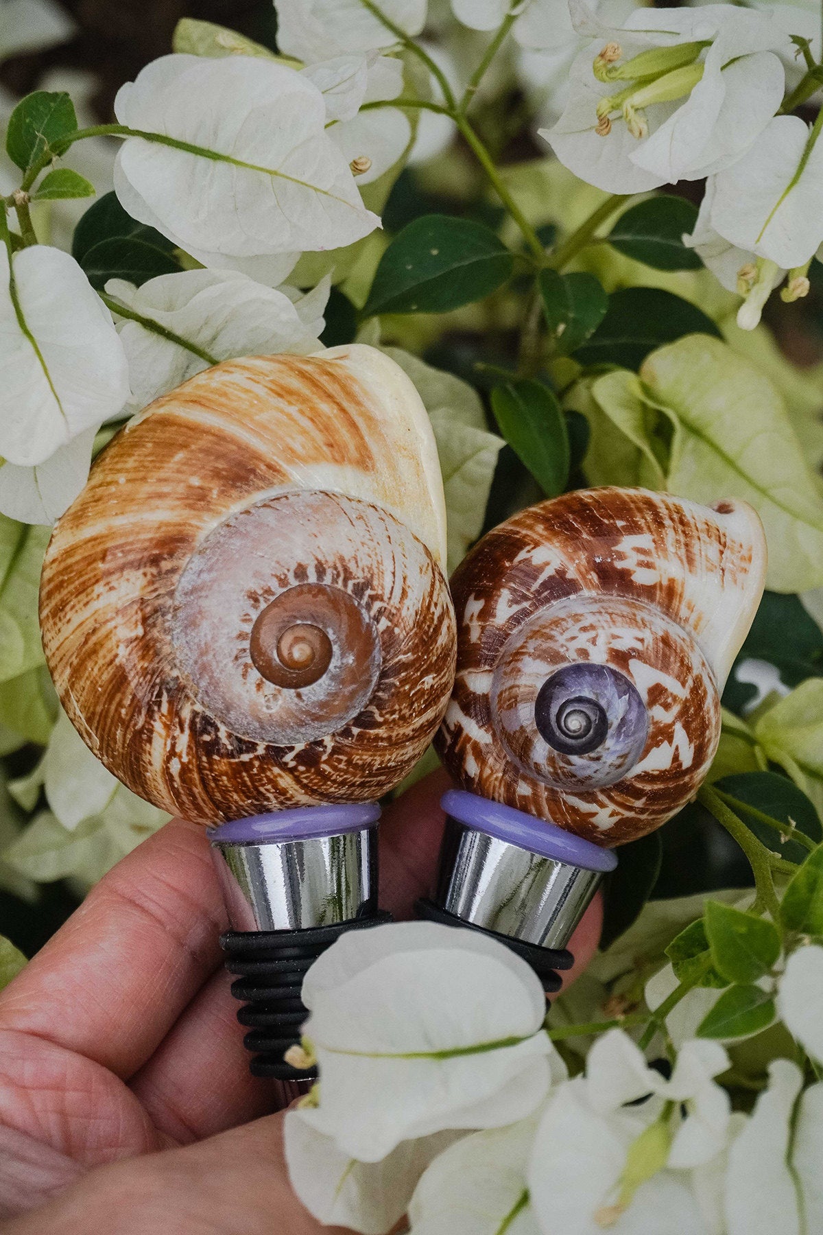 Natural Seashell Wine Bottle Stopper