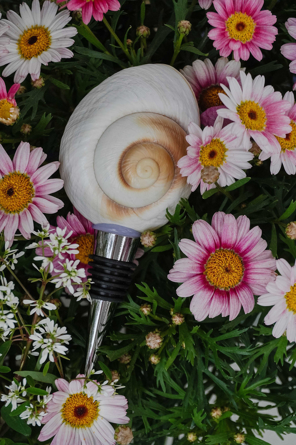 Natural Seashell Wine Bottle Stopper