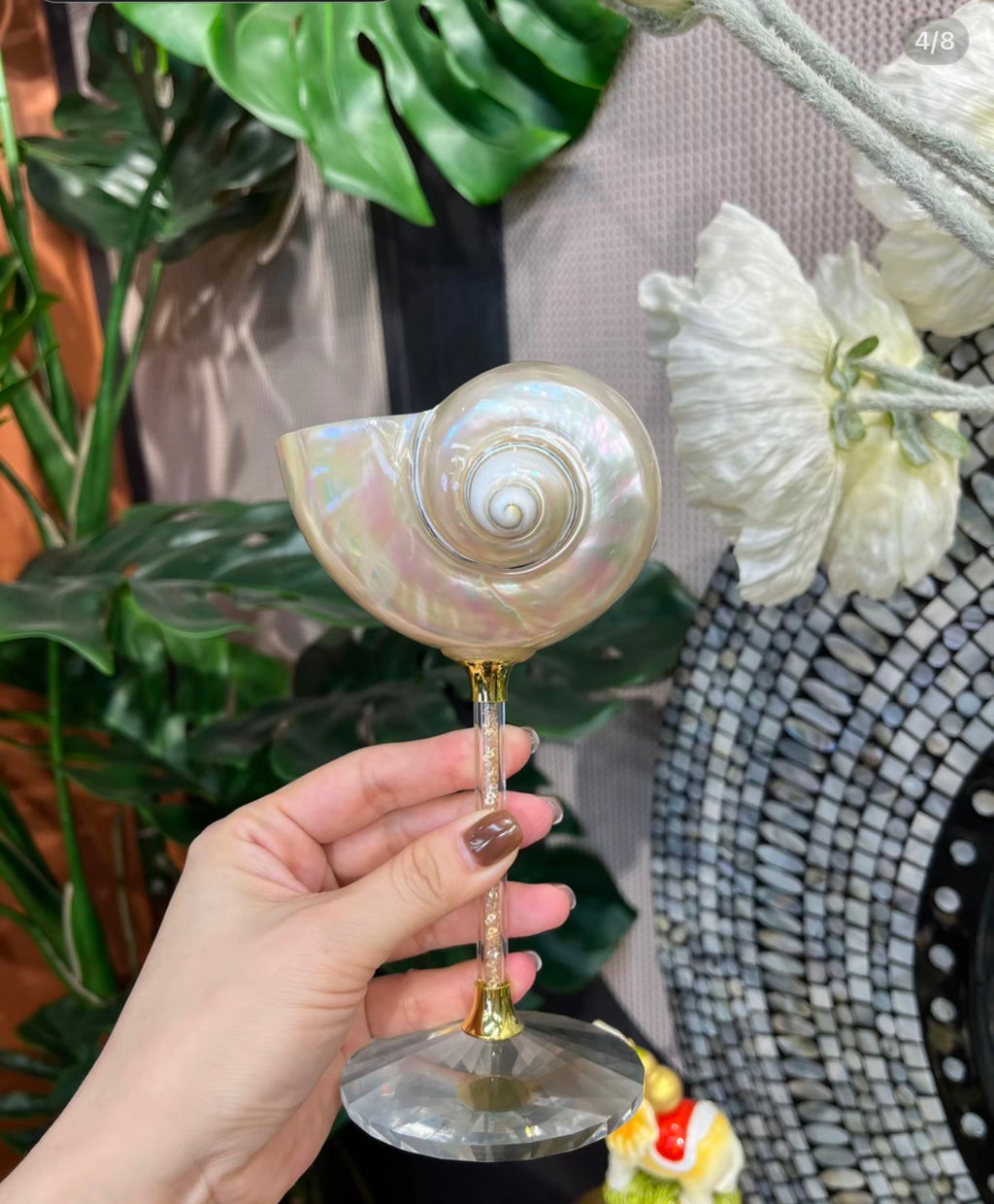 Magnificent Conch Shell Wine Glass