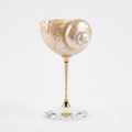 Magnificent conch shell wine glass on a light background