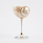 Magnificent conch shell wine glass on a light background