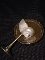 Magnificent Conch Shell Wine Glass