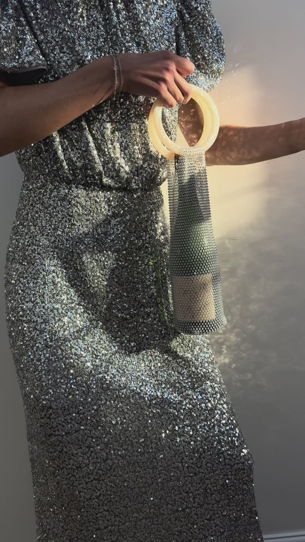 Luxe Crystal Wine Carrier