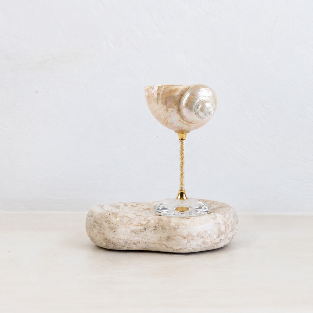 Magnificent Conch Shell Wine Glass