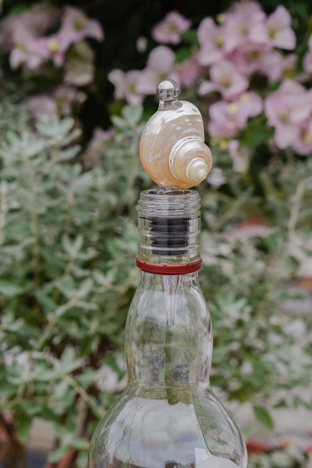 Natural Seashell Wine Bottle Stopper
